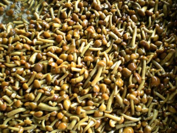 Frozen Nameko